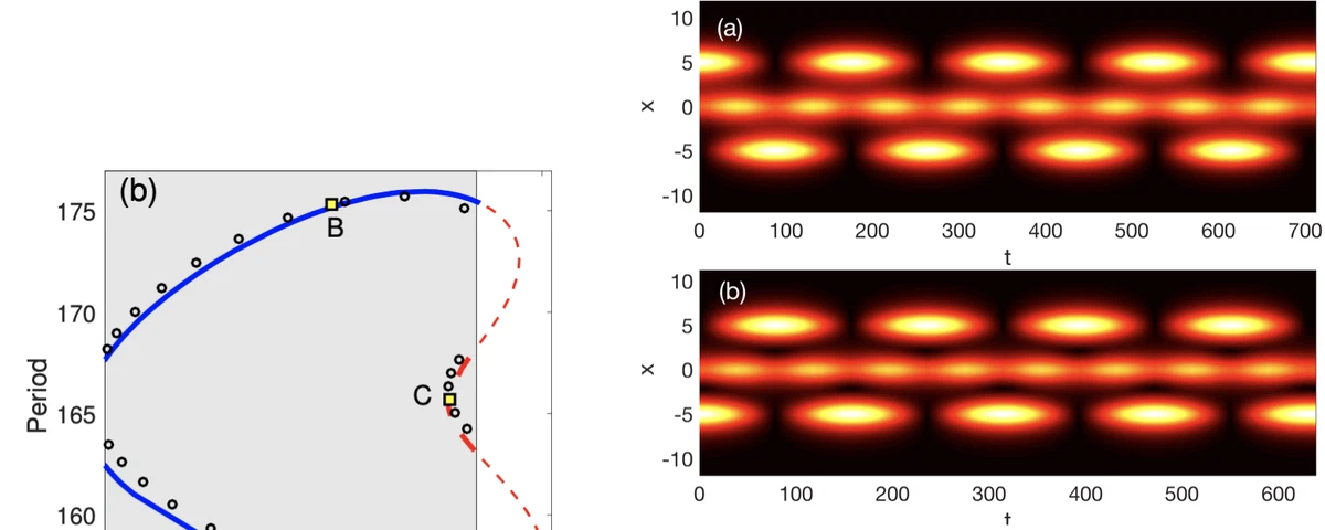 Complex Behavior in Coupled Nonlinear Waveguides